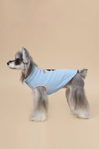 PAWSMOMENT Chaleco para Perro con Cuello de Algodón - Pequeño Diablo
