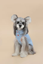 PAWSMOMENT Chaleco para Perro con Cuello de Algodón - Pequeño Diablo