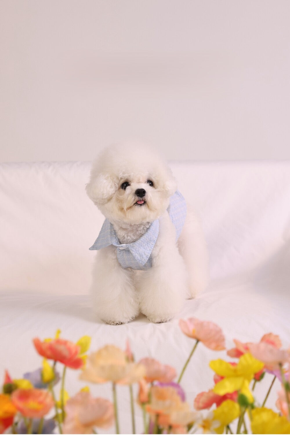 PAWSMOMENT Cotton Tie-Up Dog Shirt - Blue