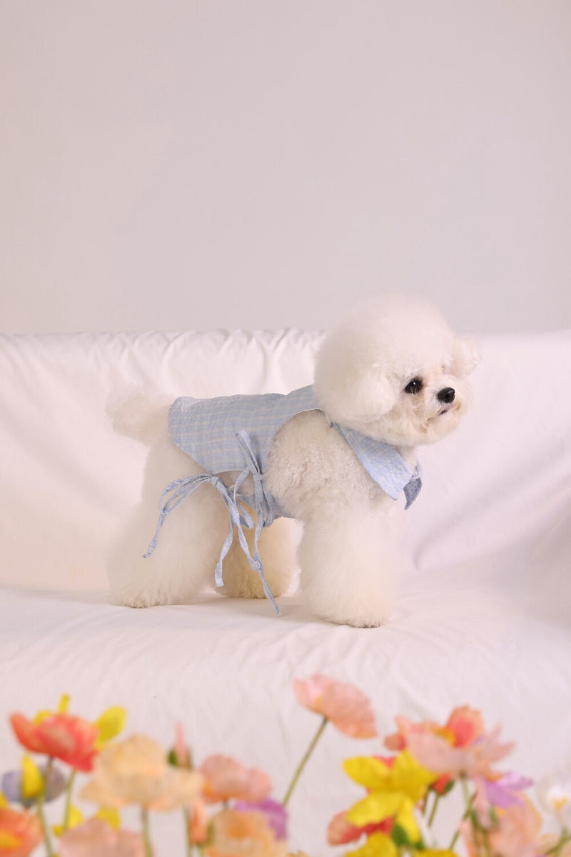 PAWSMOMENT Cotton Tie-Up Dog Shirt - Blue