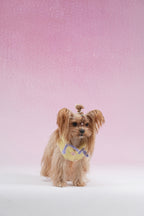 PAWSMOMENT Dog Hoodie Sweater