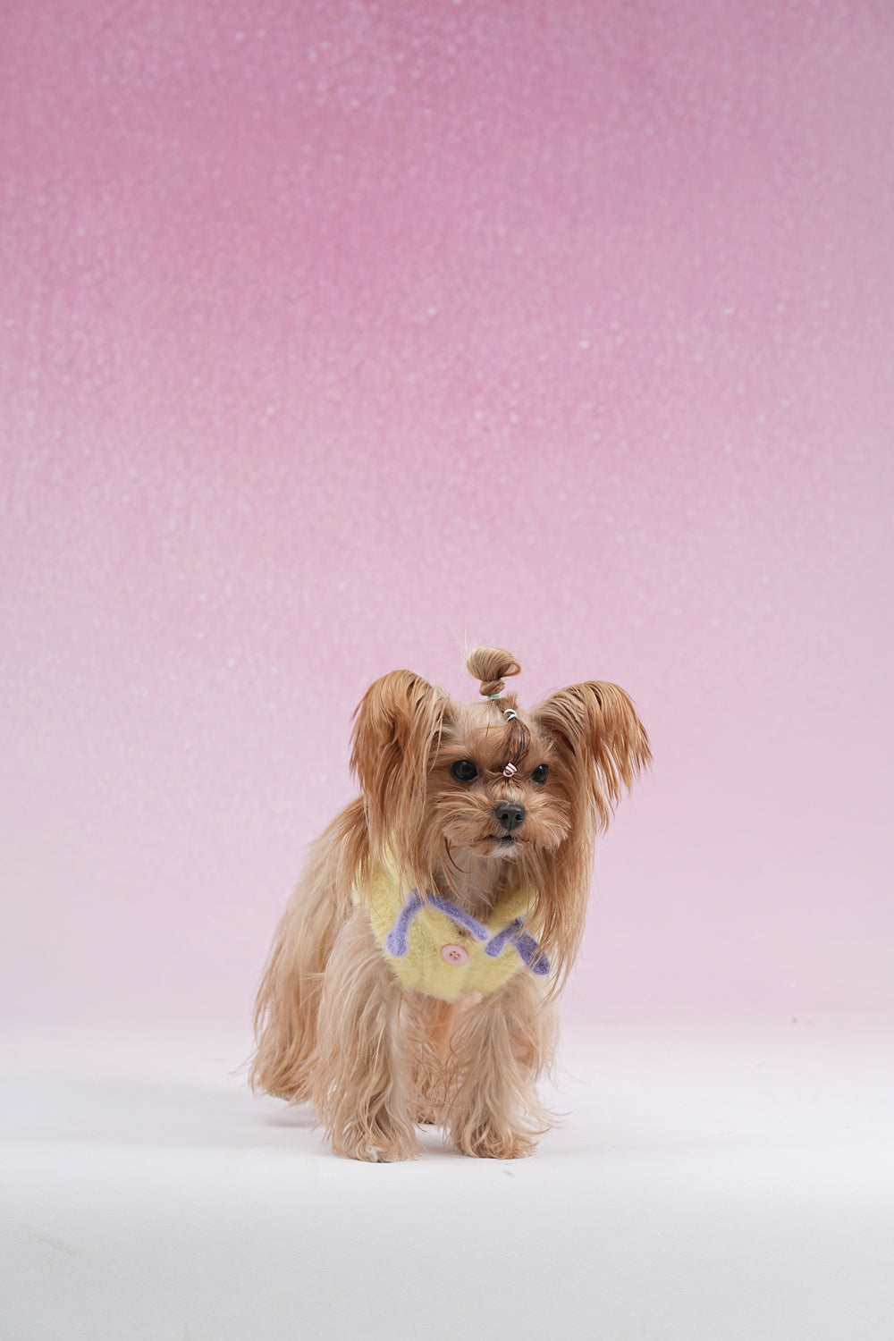 PAWSMOMENT Dog Hoodie Sweater