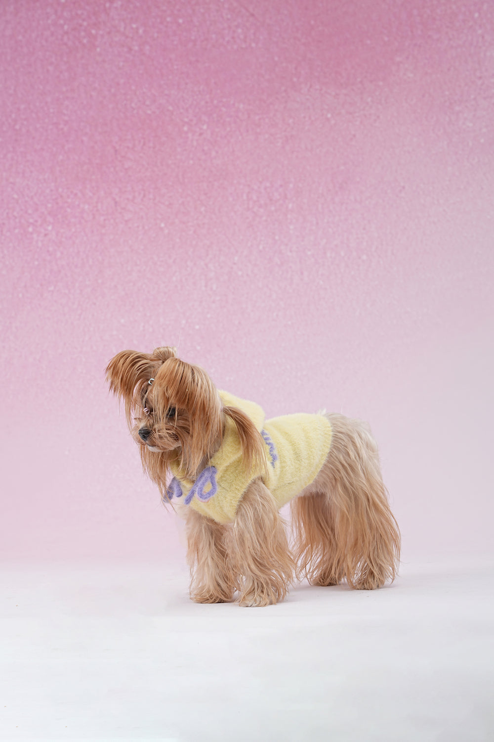 PAWSMOMENT Dog Hoodie Sweater