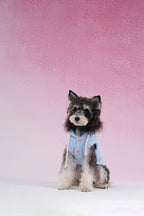 PAWSMOMENT Dog Hoodie Sweater
