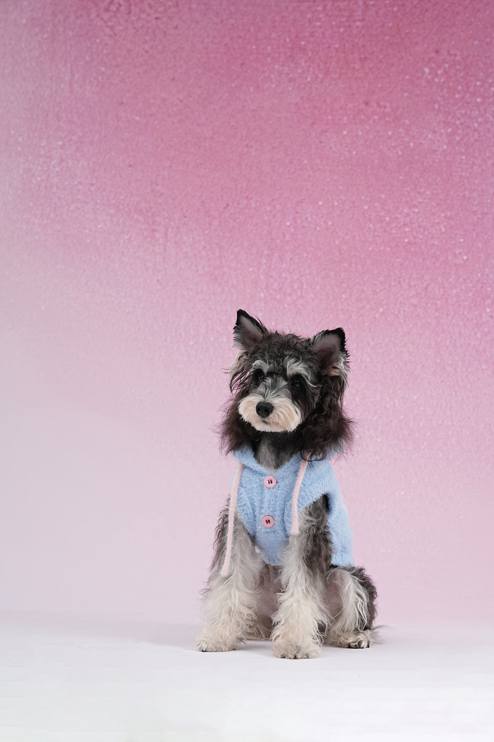 PAWSMOMENT Dog Hoodie Sweater