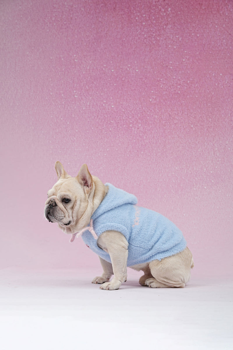 PAWSMOMENT Dog Hoodie Sweater