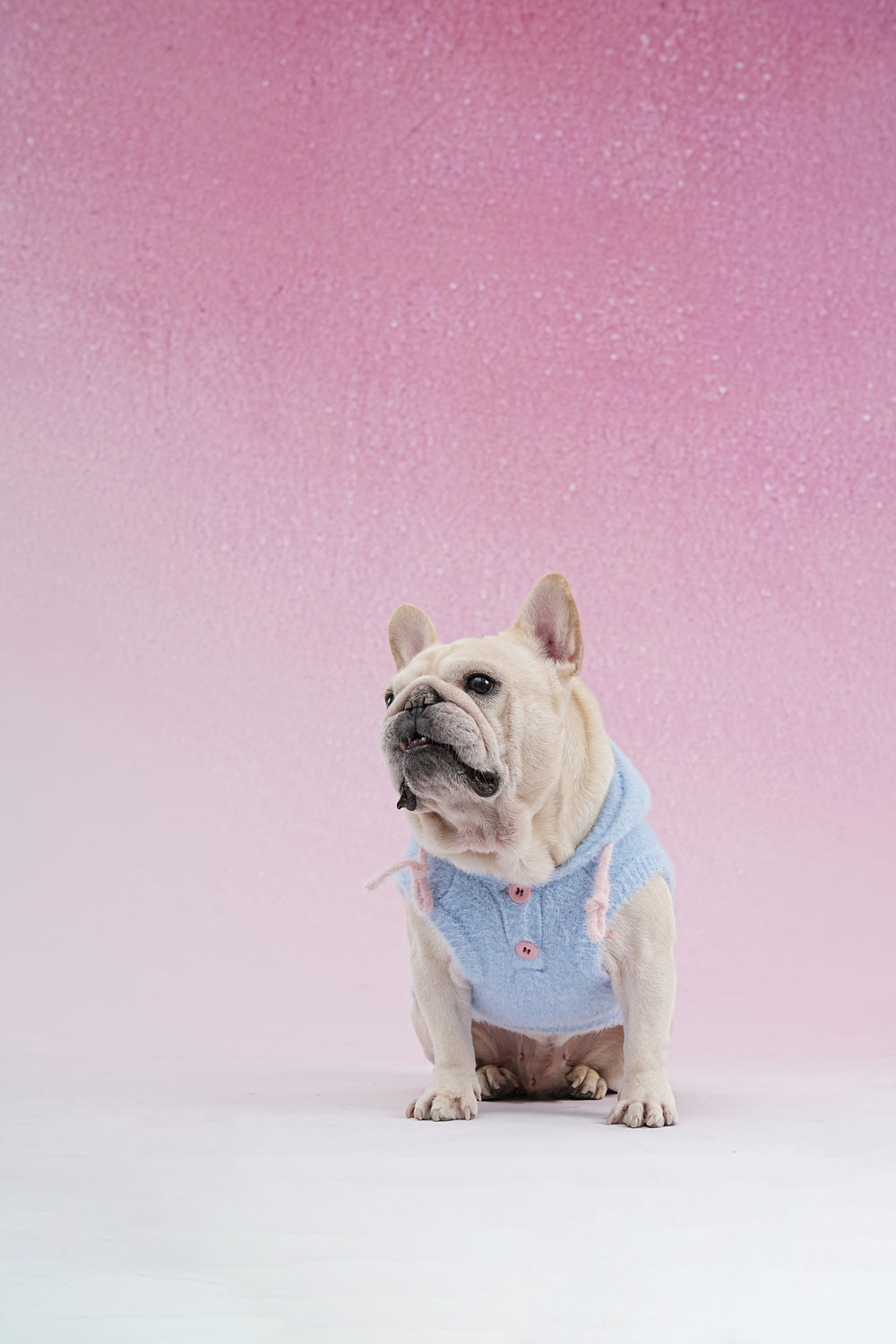 PAWSMOMENT Dog Hoodie Sweater