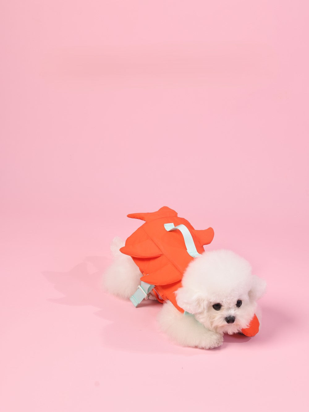 PAWSMOMENT 강아지 구명조끼 - 오렌지