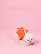 PAWSMOMENT Dog Life Jacket - Orange