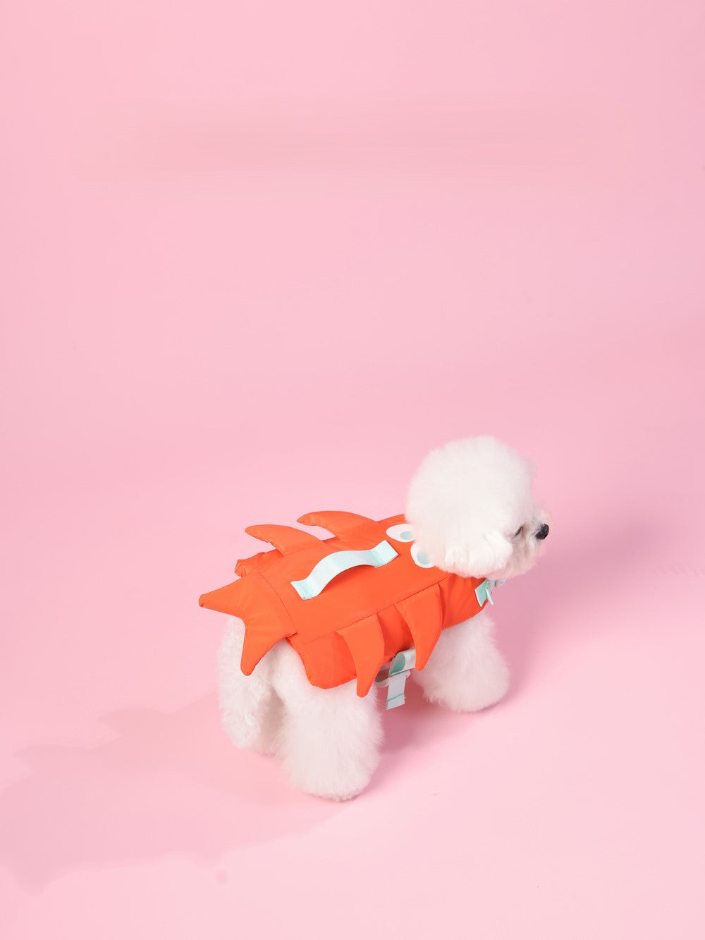 PAWSMOMENT 강아지 구명조끼 - 오렌지