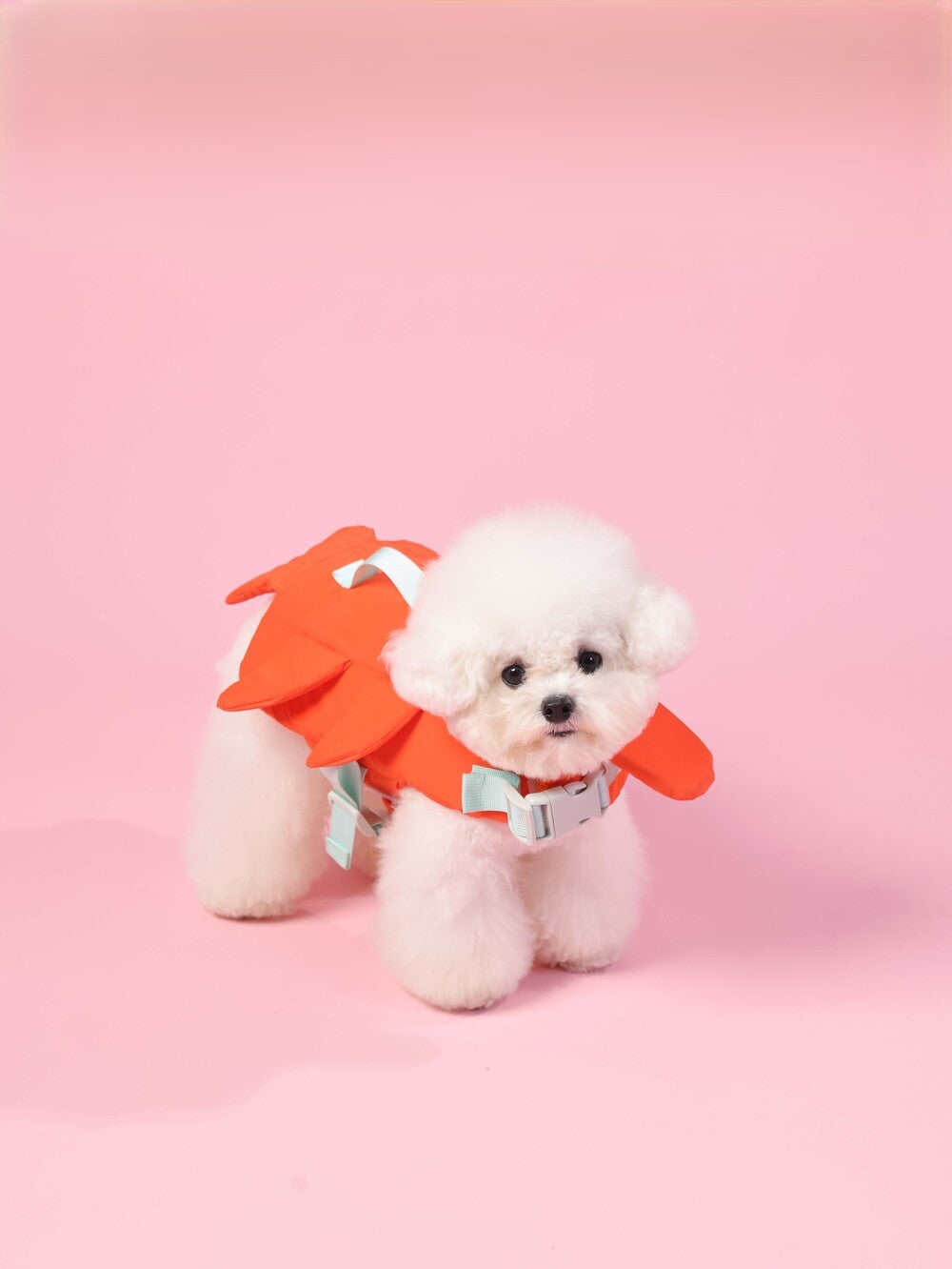 PAWSMOMENT 강아지 구명조끼 - 오렌지