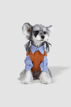 PAWSMOMENT Dog Winter Knit Sweater with Shirt - Brown/Blue