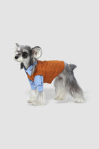 PAWSMOMENT Dog Winter Knit Sweater with Shirt - Brown/Blue