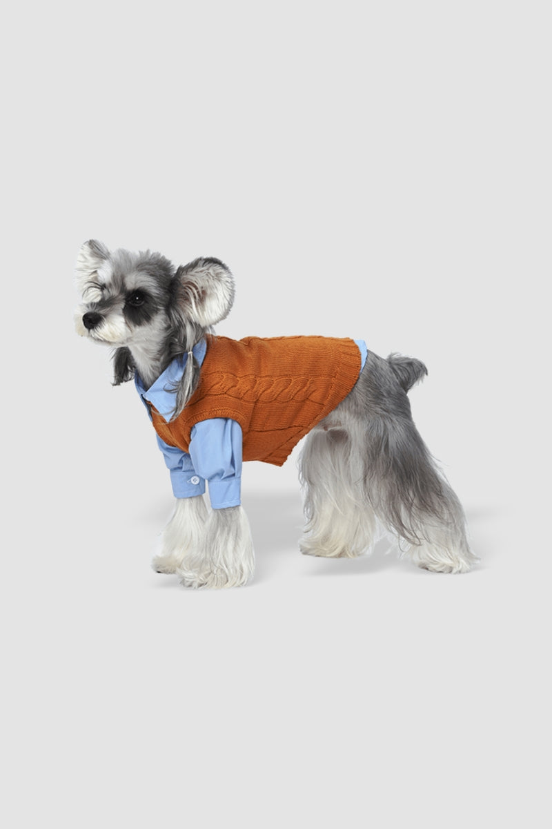 PAWSMOMENT Dog Winter Knit Sweater with Shirt - Brown/Blue