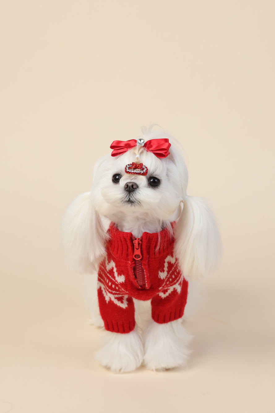 PAWSMOMENT 페어 아일 도그 니트 스웨터 - 레드