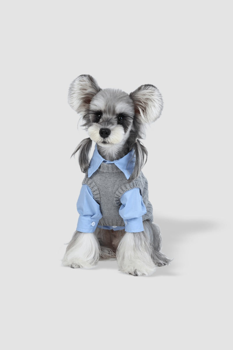 PAWSMOMENT Formal Button-Up Dog Shirt - Blue
