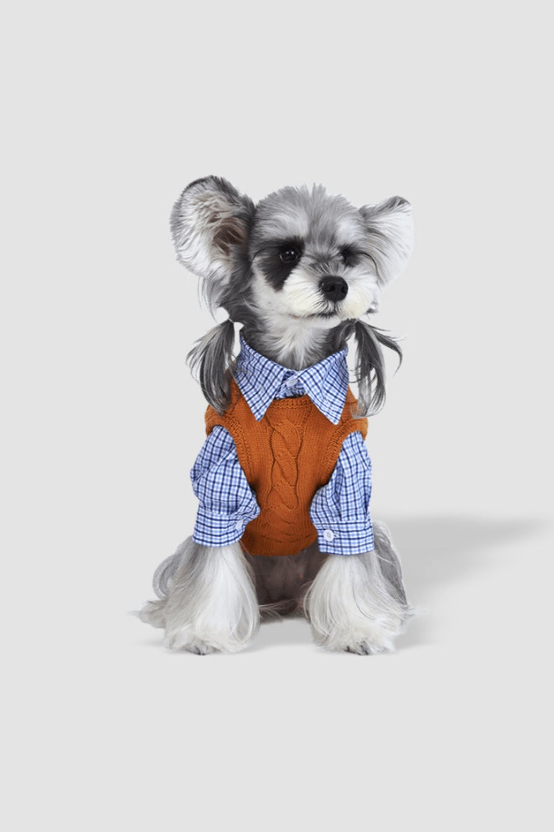 PAWSMOMENT Formal Plaid Button-Up Dog Shirt - Blue