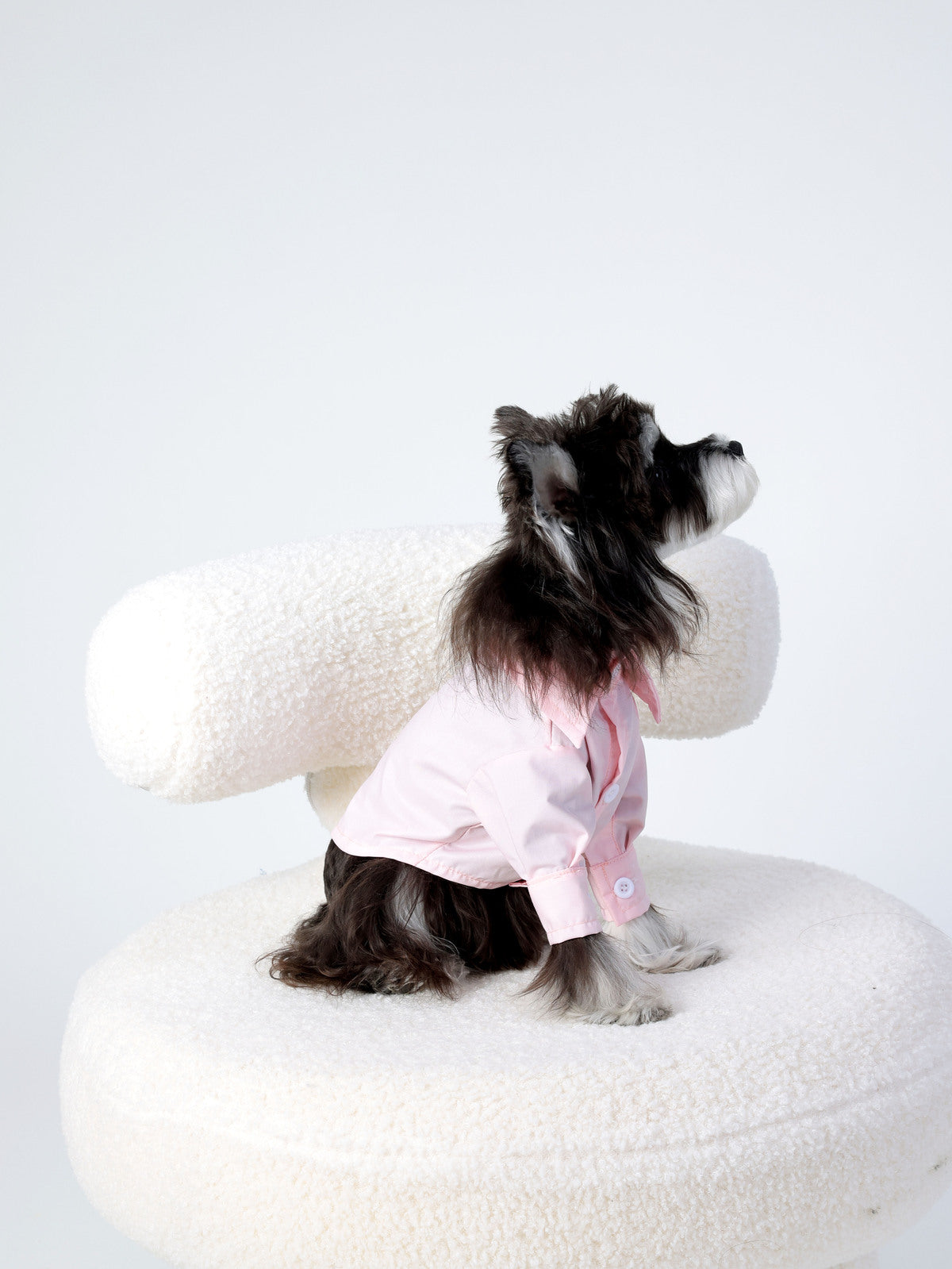 Dog wearing a pink outfit sitting on a white cushion with a white background