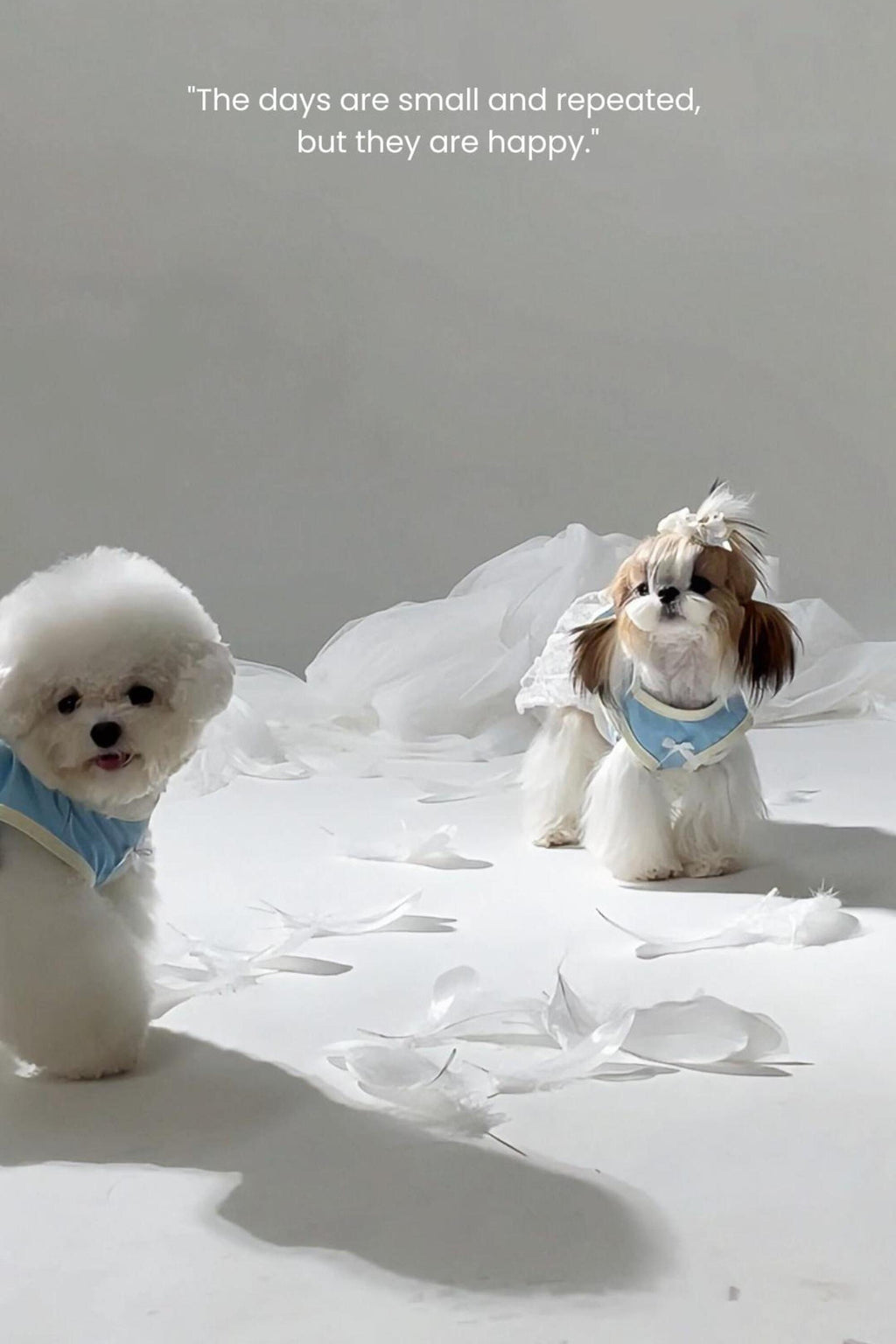 PAWSMOMENT 경량 통기성 자외선 차단 강아지 쿨링 셔츠 - 블루