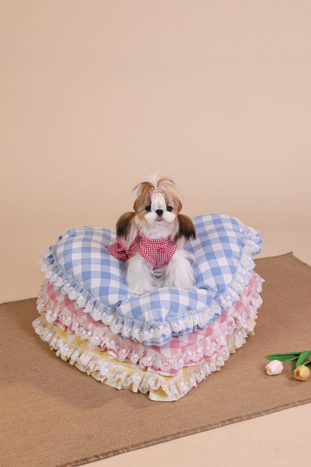 Small dog sitting on a layered pet bed with a checkered pattern against a beige background