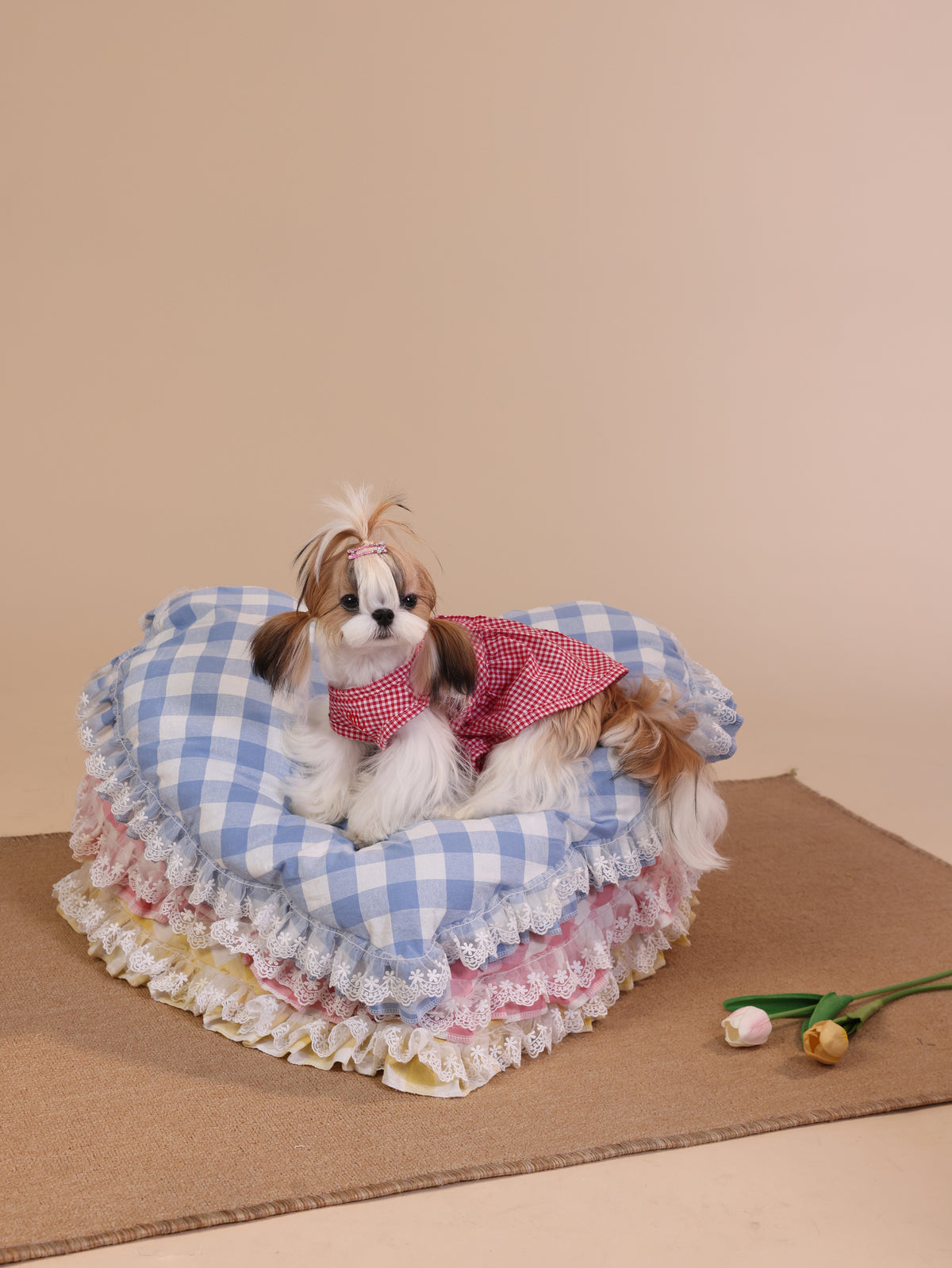 Small dog sitting on a blue checkered pet bed with ruffles against a beige background