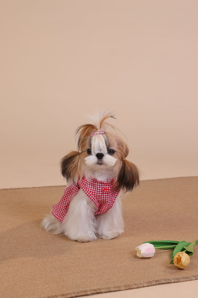PAWSMOMENT Plaid Cotton Dog Dress - Red