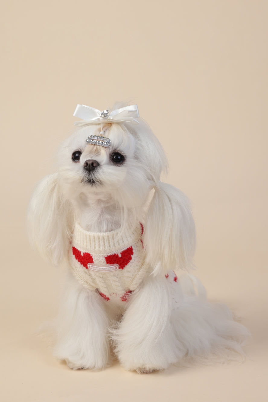 PAWSMOMENT 레드 하트 강아지 니트 스웨터 - 화이트