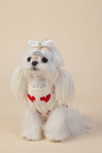 PAWSMOMENT Red Heart Dog Knit Sweater - White