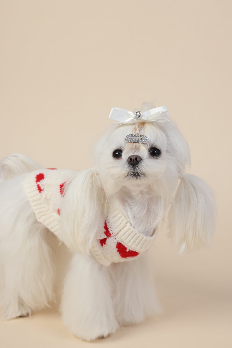 PAWSMOMENT 레드 하트 강아지 니트 스웨터 - 화이트