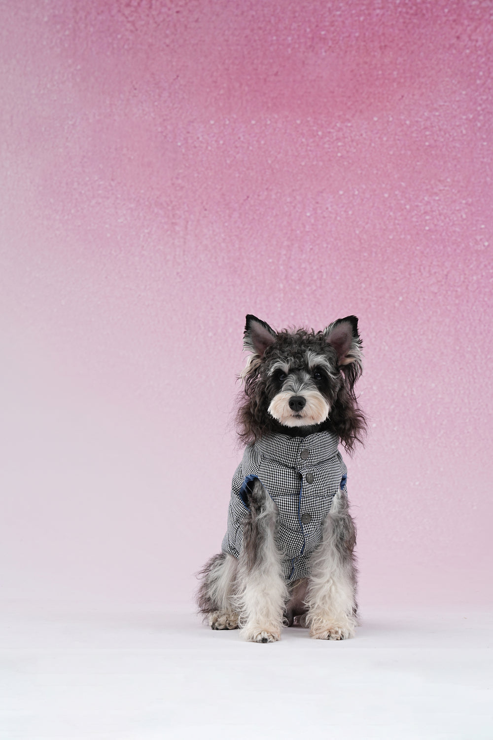 PAWSMOMENT Reversible Dog Puffer Vest Jacket - Denim Blue