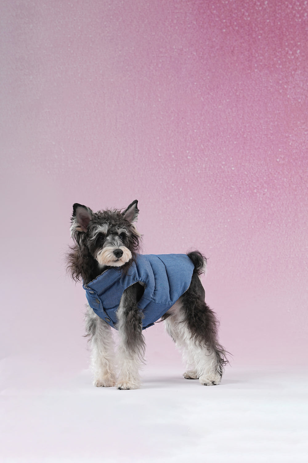 PAWSMOMENT Reversible Dog Puffer Vest Jacket - Denim Blue
