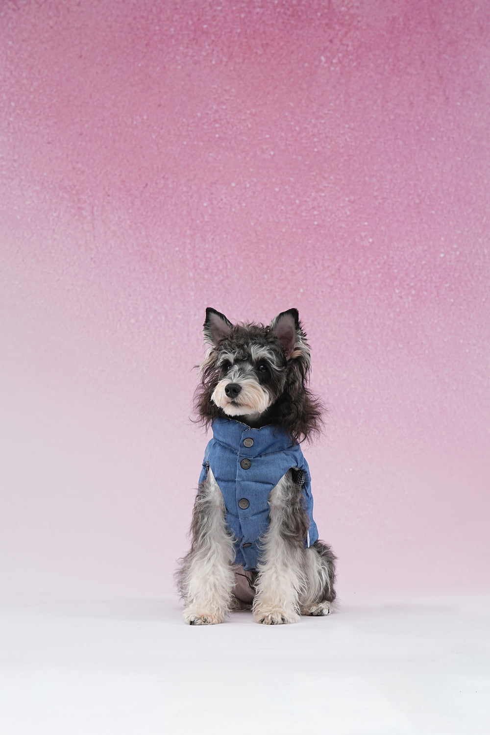 PAWSMOMENT Reversible Dog Puffer Vest Jacket - Denim Blue