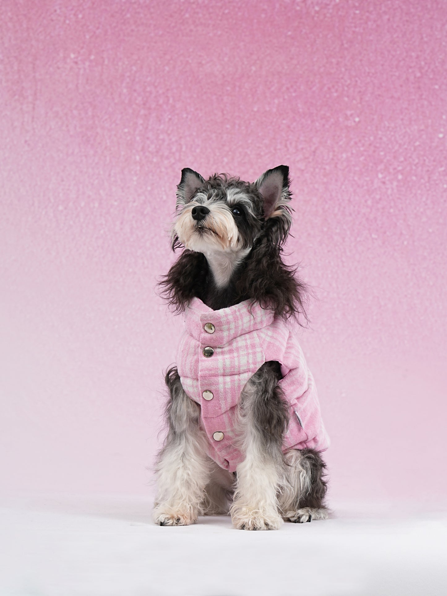PAWSMOMENT Reversible Dog Puffer Vest Jacket - Pink