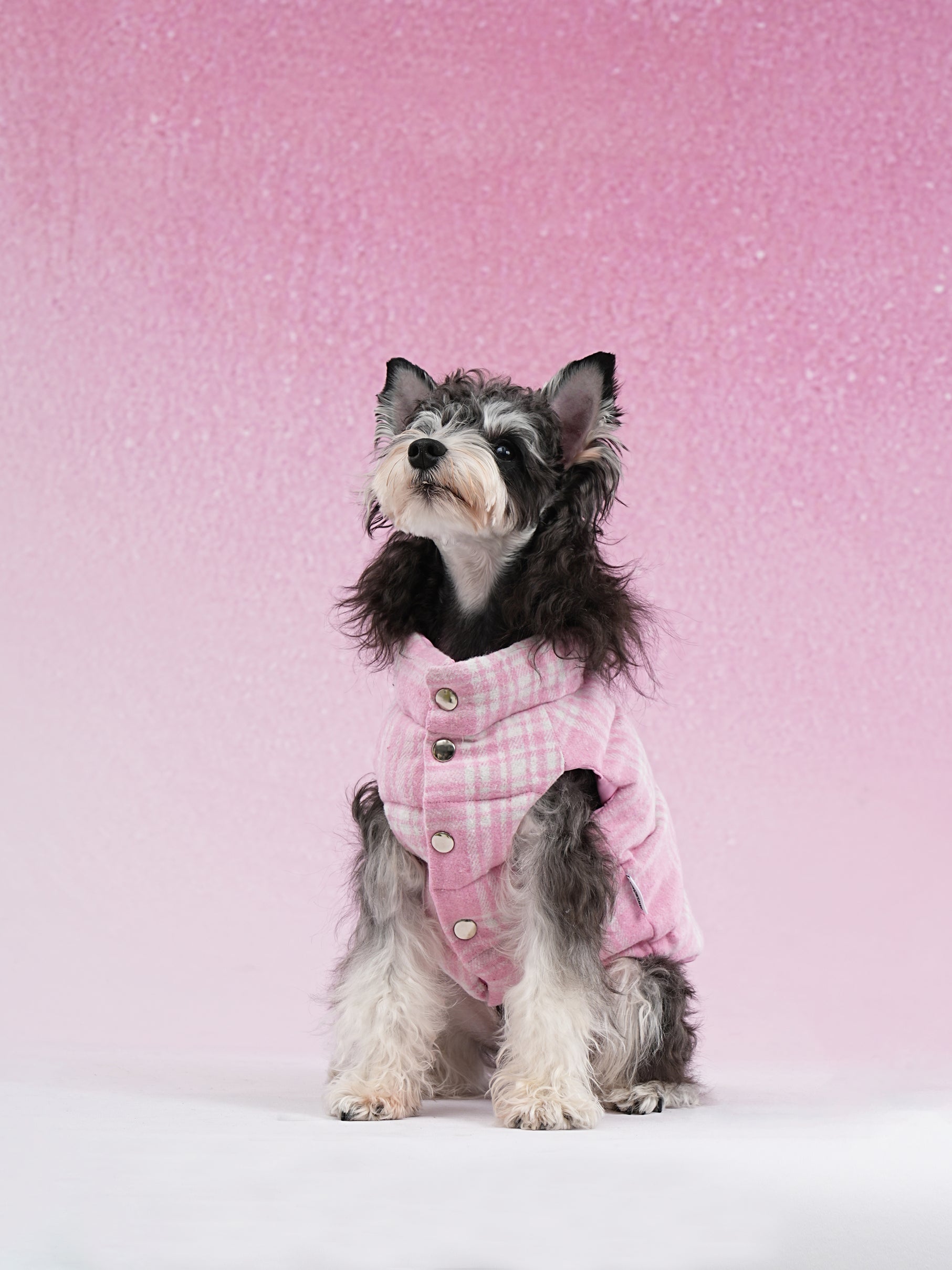 PAWSMOMENT Reversible Dog Puffer Vest Jacket - Pink