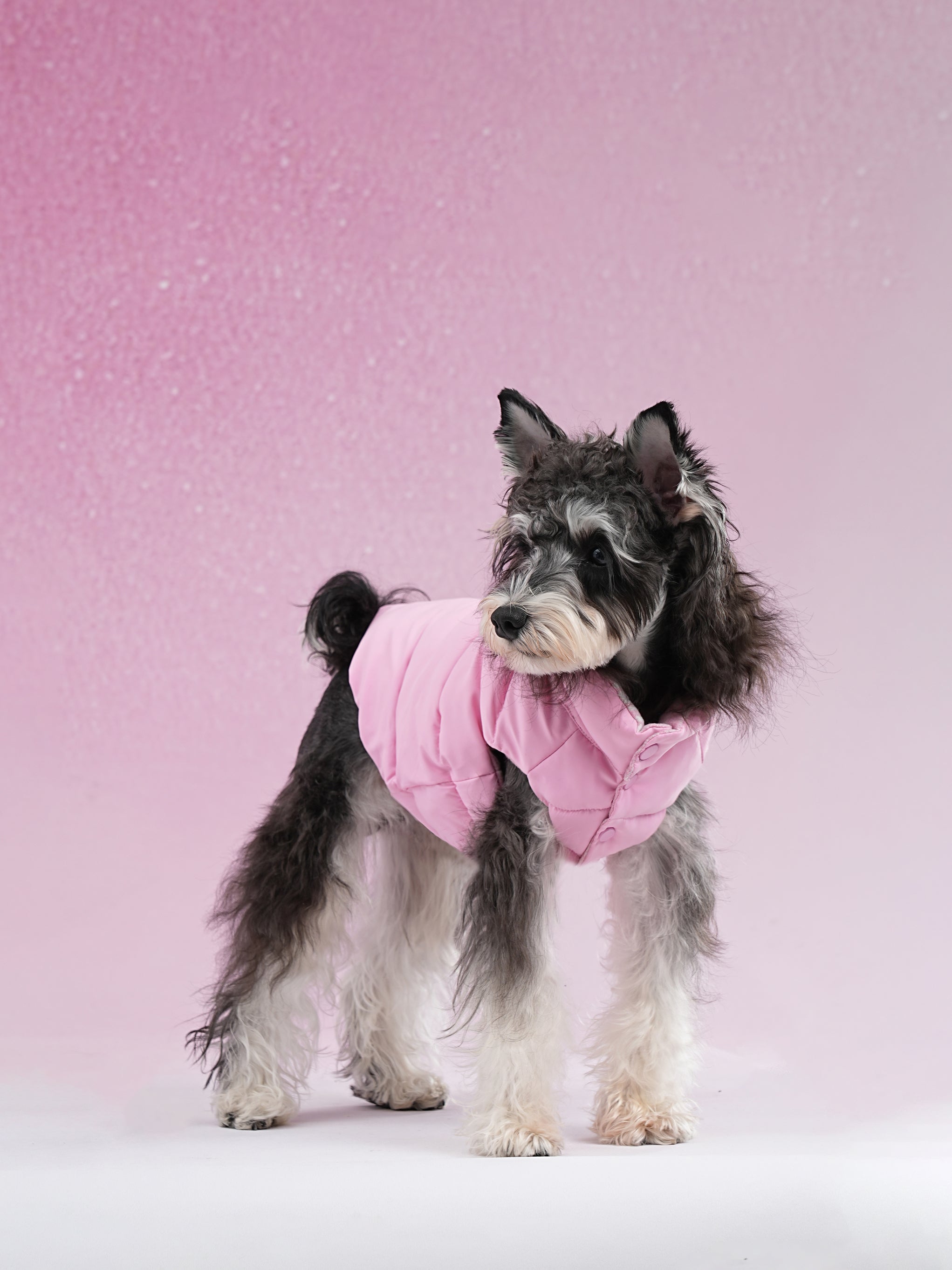 PAWSMOMENT Reversible Dog Puffer Vest Jacket - Pink
