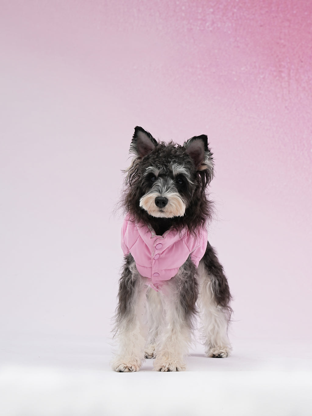 PAWSMOMENT Reversible Dog Puffer Vest Jacket - Pink