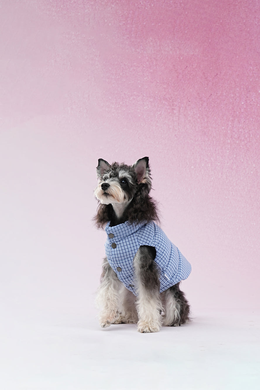 PAWSMOMENT 리버서블 체크 강아지 패딩 재킷 - 블루