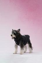 PAWSMOMENT Reversible Plaid Dog Puffer Jacket - Blue