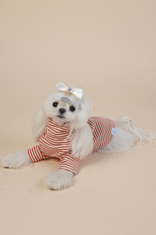 PAWSMOMENT 스트라이프 코튼 강아지 티셔츠