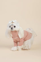 PAWSMOMENT Striped Cotton Dog T-Shirt