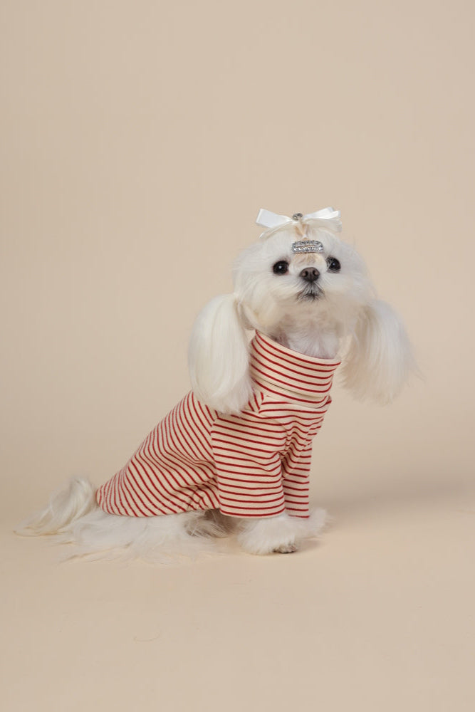 PAWSMOMENT 스트라이프 코튼 강아지 티셔츠