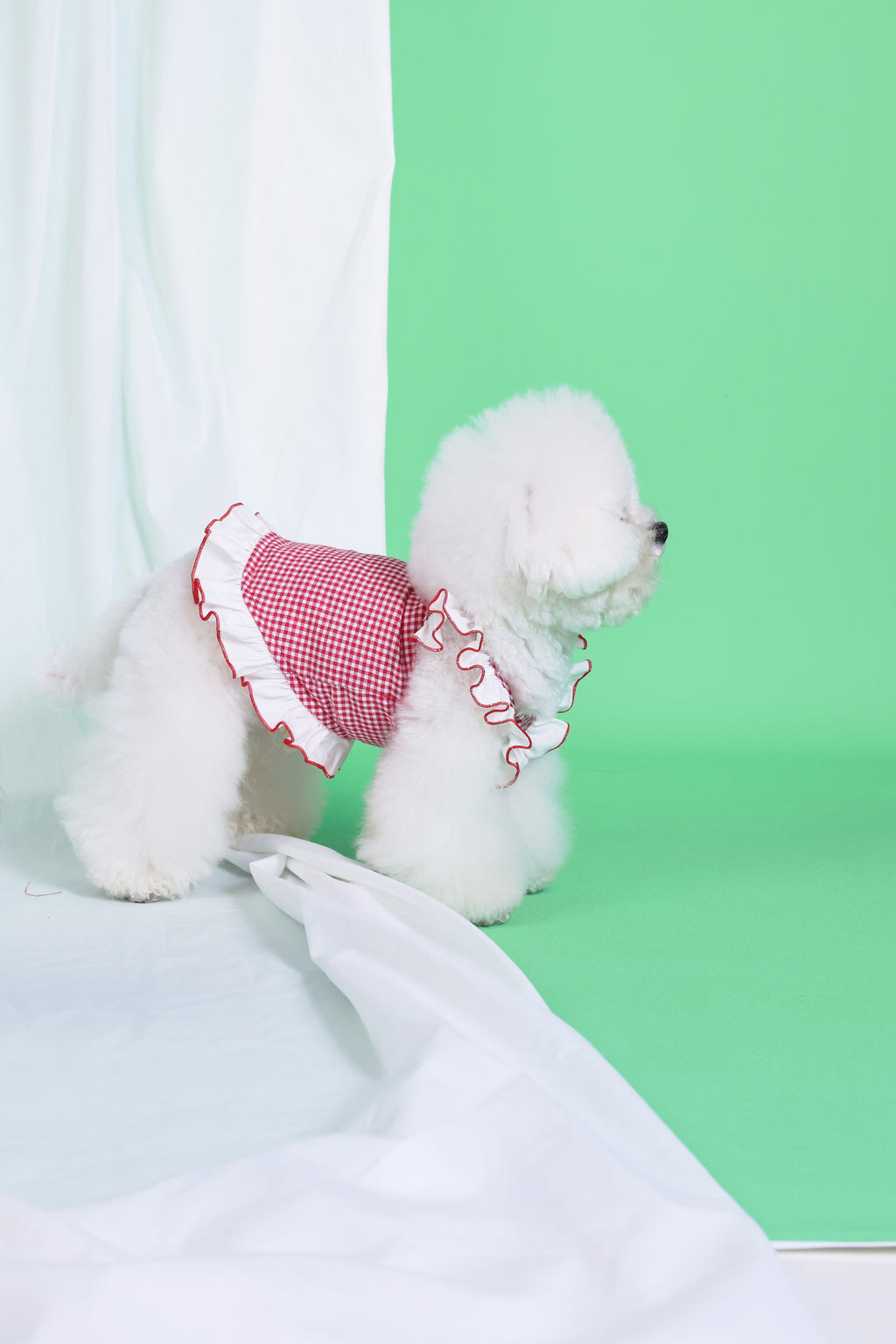 PAWSMOMENT 러플 소매 스트라이프 강아지 원피스