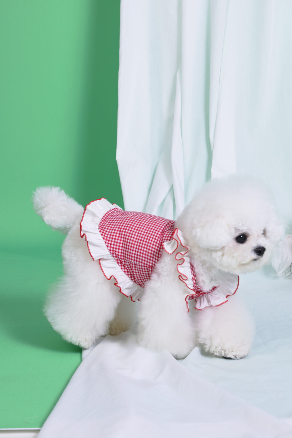 PAWSMOMENT 러플 소매 스트라이프 강아지 원피스