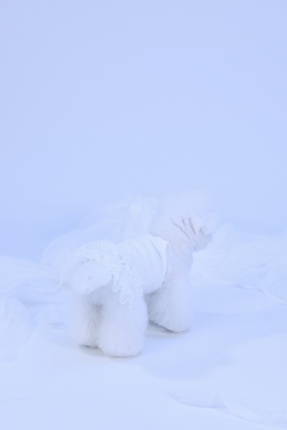 PAWSMOMENT 튤 스커트 강아지 캐미솔 드레스 - 화이트