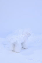PAWSMOMENT Tulle Skirt Dog Camisole Dress - White