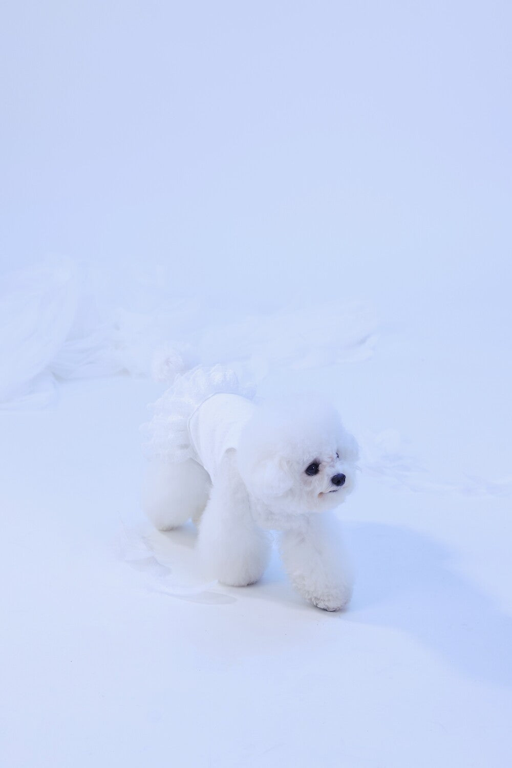 PAWSMOMENT 튤 스커트 강아지 캐미솔 드레스 - 화이트