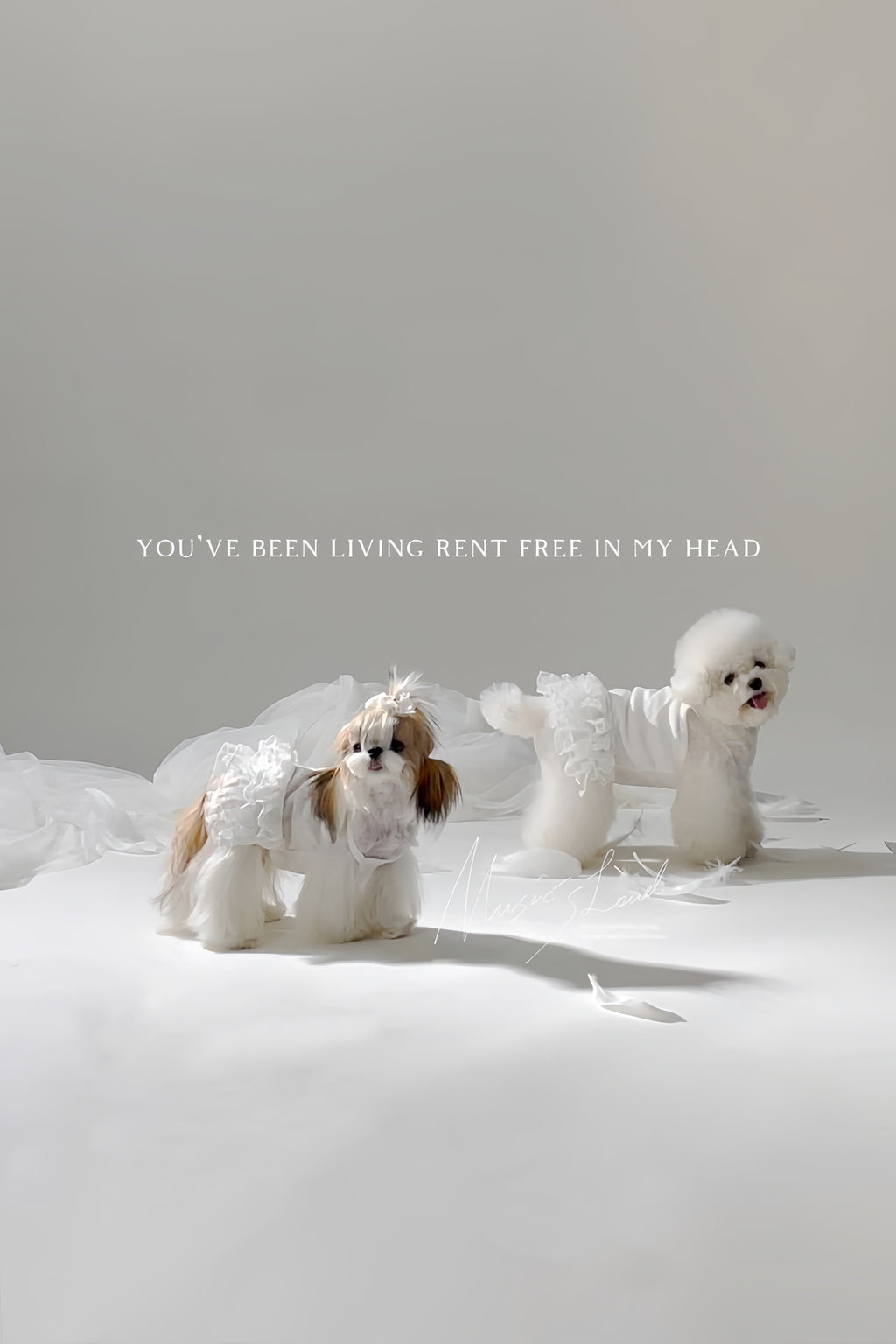 PAWSMOMENT 튤 스커트 강아지 캐미솔 드레스 - 화이트