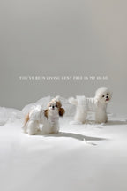 PAWSMOMENT Tulle Skirt Dog Camisole Dress - White