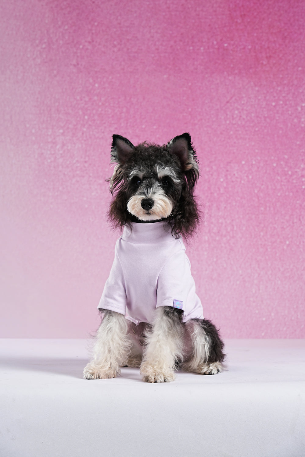 PAWSMOMENT Velvet-Lined Base Layer Dog T-Shirt