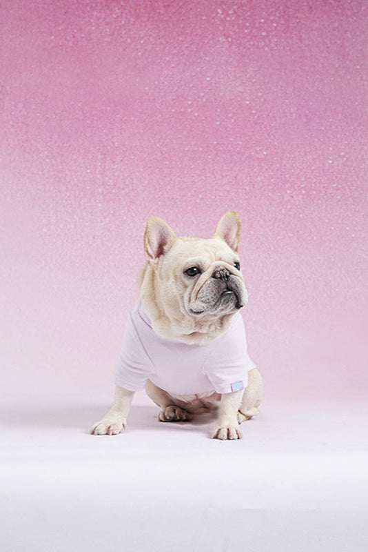 PAWSMOMENT Velvet-Lined Base Layer Dog T-Shirt